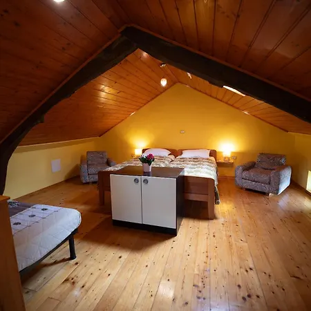 House Mario